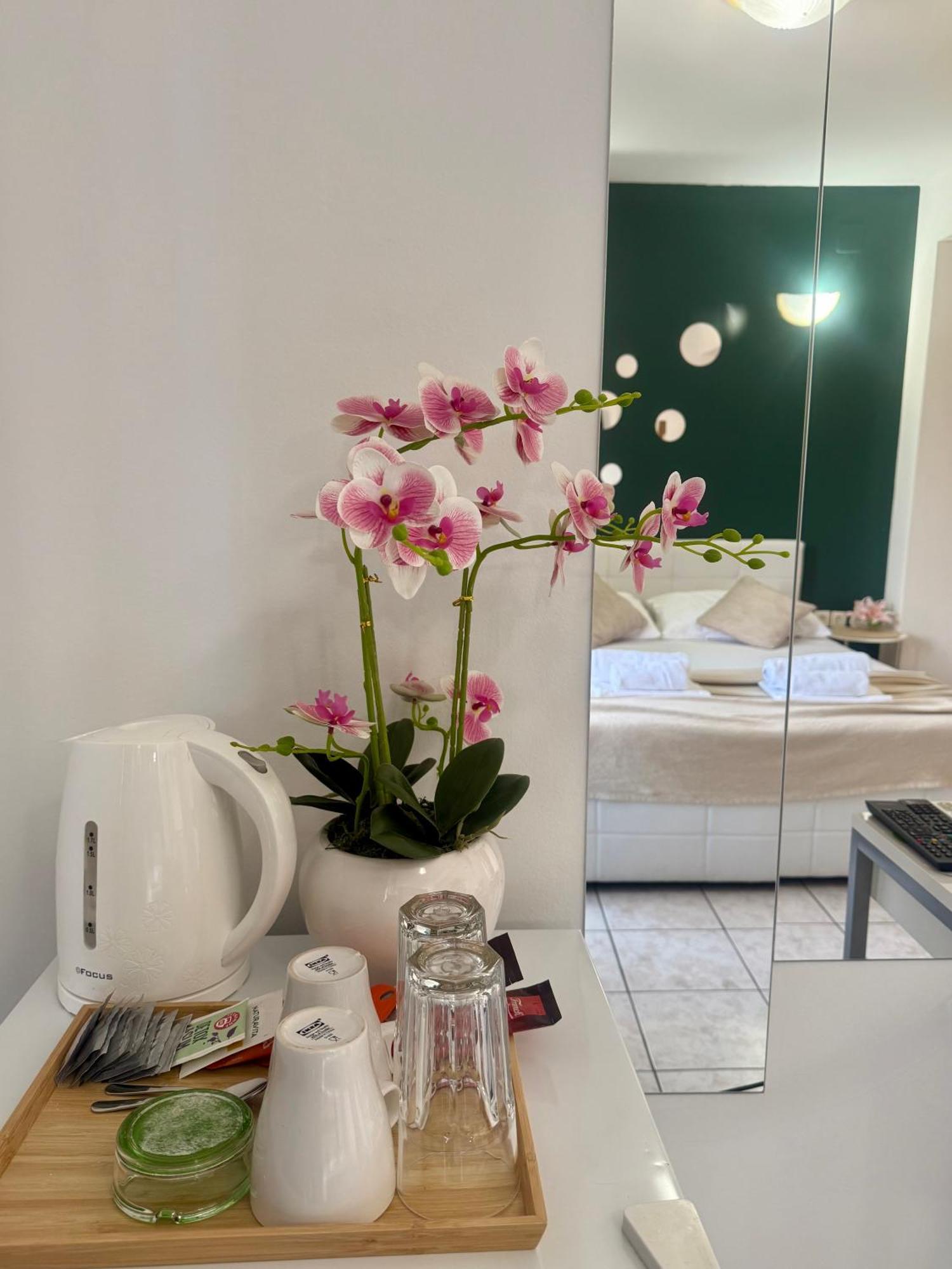 Apartments Ana & Ita Novalja Ngoại thất bức ảnh